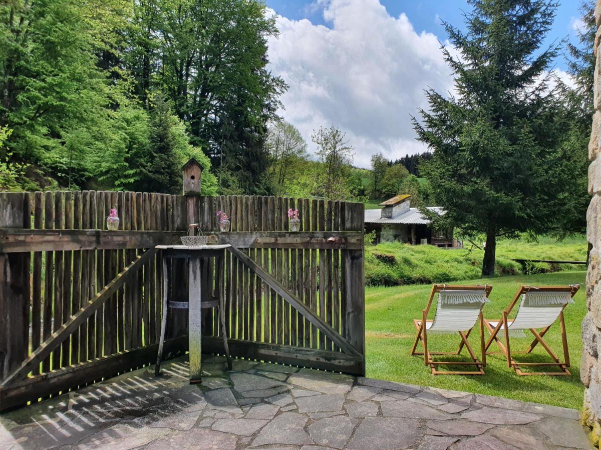 Naturidyll Kollnbergmühle Fürstenstein Exterior foto