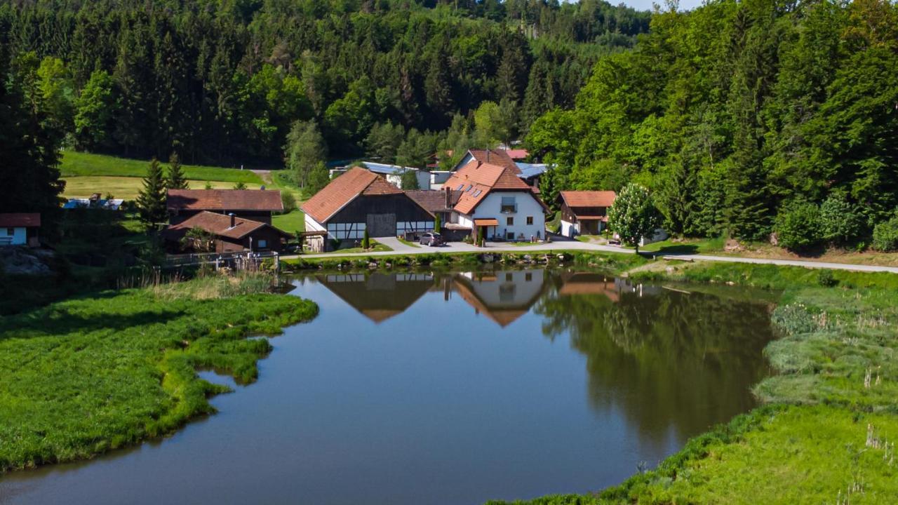 Naturidyll Kollnbergmühle Fürstenstein Exterior foto